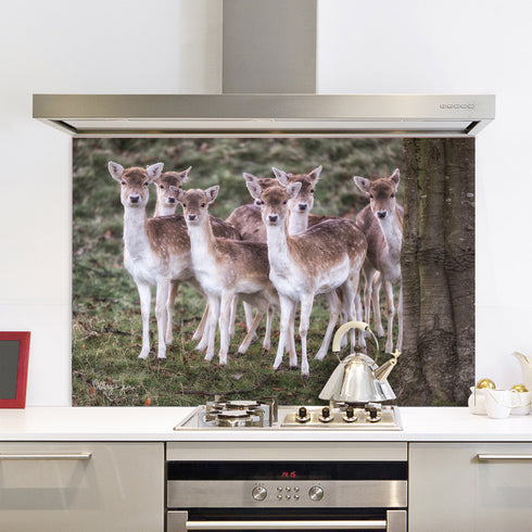 The School Gang - Kitchen Splashback